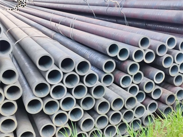 IMG_20230401_160040.jpg IMG_20230401_160040.jpg